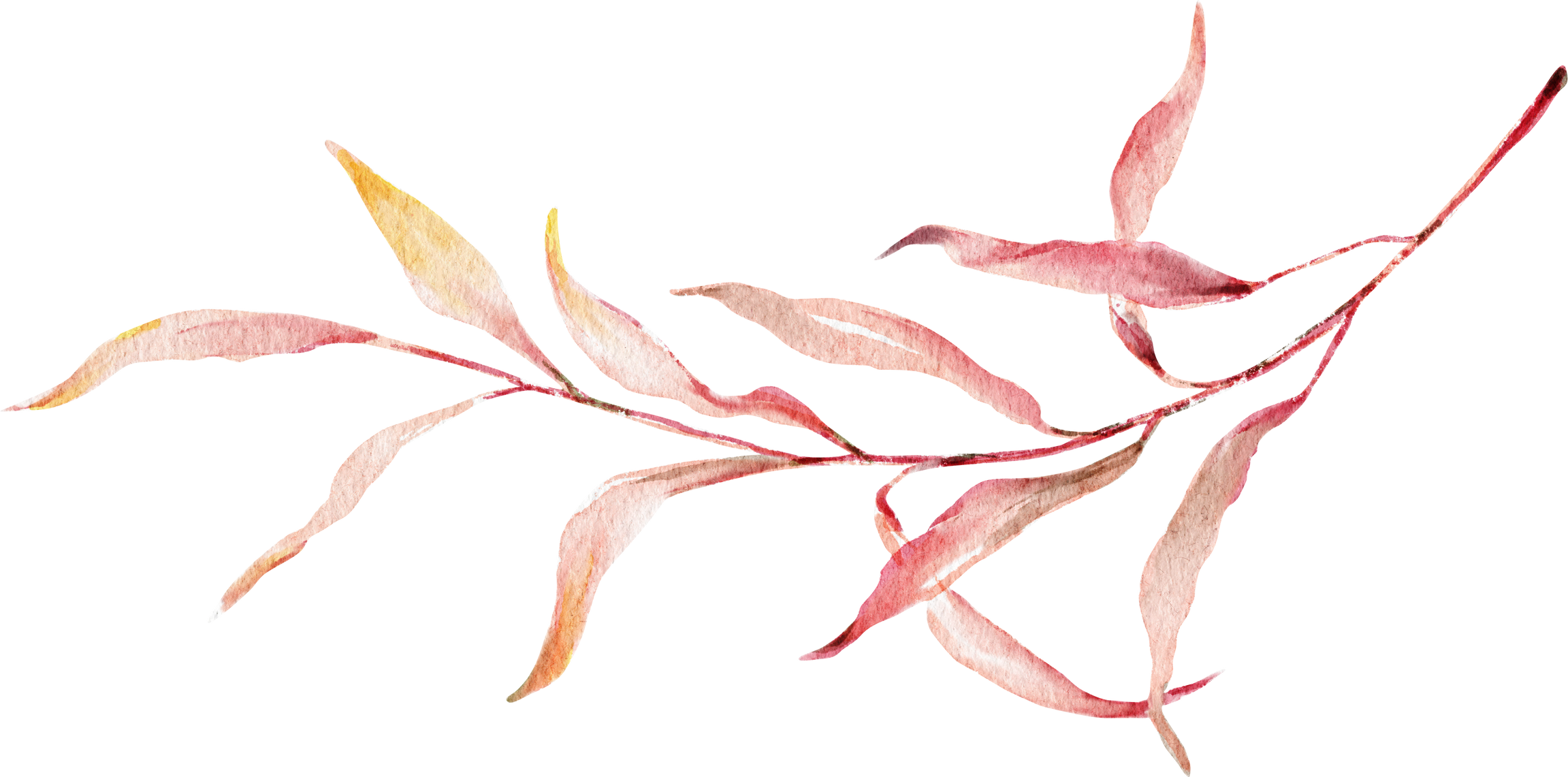 Watercolor Autumn Branch Illustration Cutout